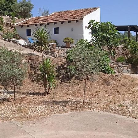 Morales Cottage Альмохия Экстерьер фото