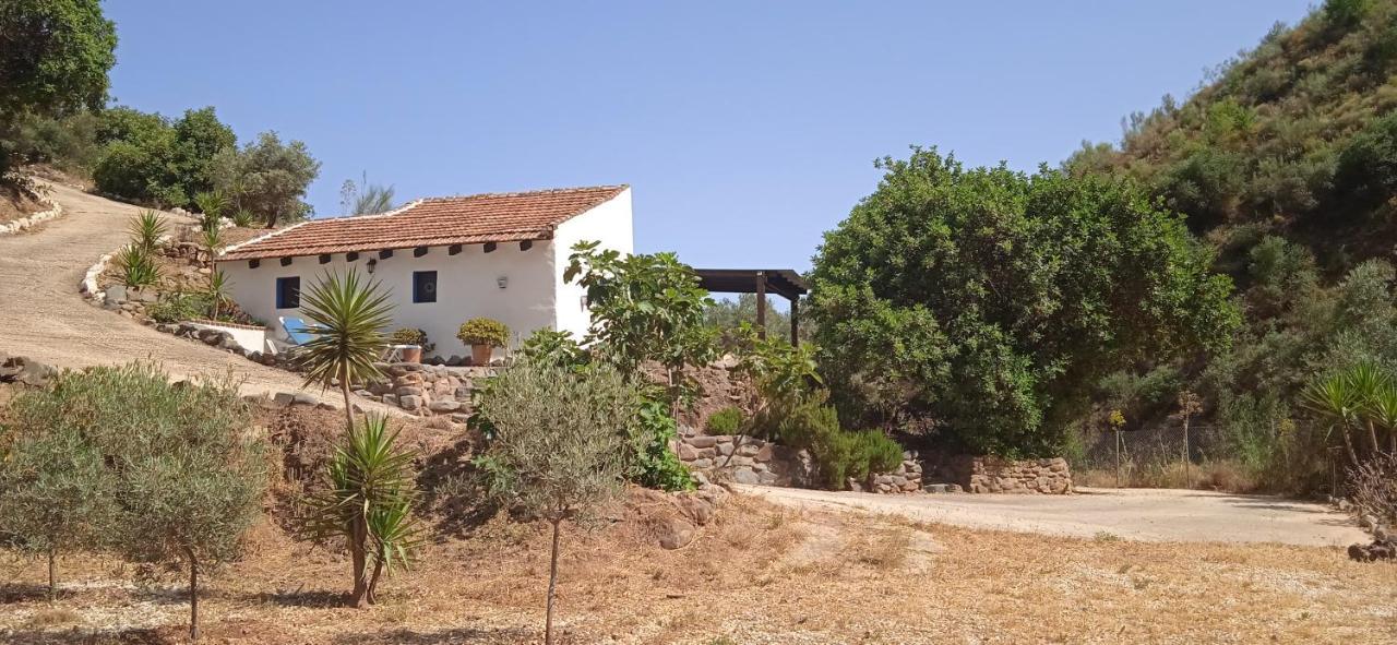 Morales Cottage Альмохия Экстерьер фото